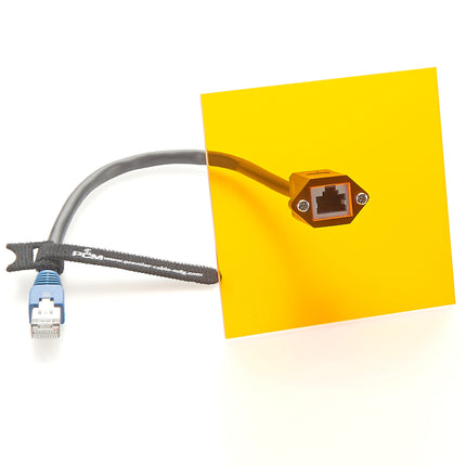 RJ50 10P10C Panel Mount Ethernet Extension Cable
