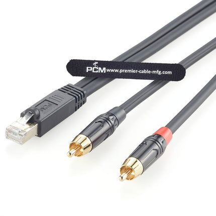 RJ45 Male to Dual RCA Male AXIA Cable