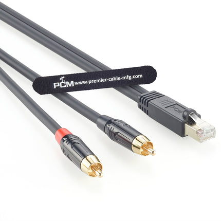RJ45 Male to Dual RCA Male AXIA Cable
