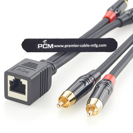 RJ45 Female to Dual RCA Male Audio Cable