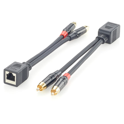 RJ45 Female to Dual RCA Male Audio Cable