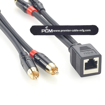 RJ45 Female to Dual RCA Male Audio Cable