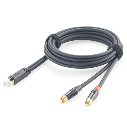RJ45 Male to Dual RCA Male AXIA Cable