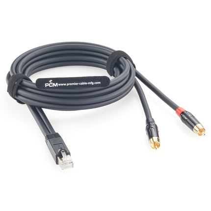 RJ45 Male to Dual RCA Male AXIA Cable