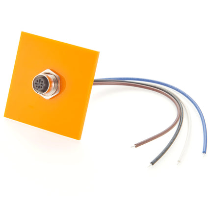 M12 Panel Mount Cable D Code Female