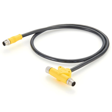 M12 4 Pin T-Code Power Splitter Cable