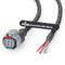 Automotive Wire Harness